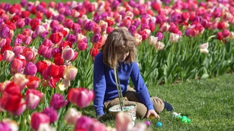 Easter child in blossom spring park. Kid hunting Easter eggs near tulips. Kid Stock Footage 317372345