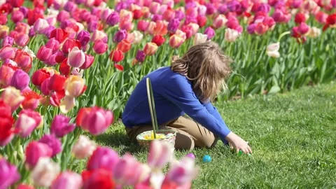 Easter child in blossom spring park. Kid hunting Easter eggs near tulips. Kid Stock Footage 318693241