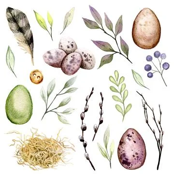Easter clip art set with eggs, feather and greenery elements. Illustrazione stock