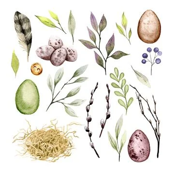 Easter clip art set with eggs, feather and greenery Stock Illustration