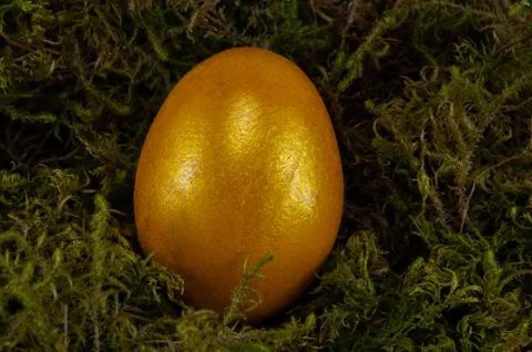 Easter colored egg on green moss, yellow color Stock Photos