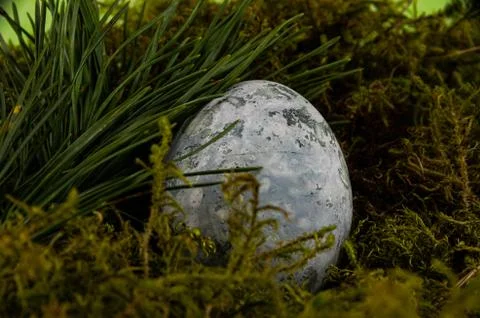 Easter colored egg on green moss, blue color Stock Photos