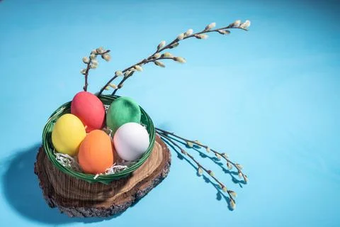 Easter colored eggs in a basket with flowering willow branches on a blue back Stock Photos
