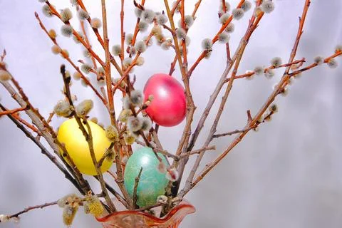 Easter colored eggs on the branches of trees. Stock Photos