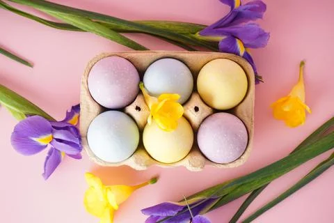 Easter colored eggs in egg tray with flowers on yellow background. Flat lay. Stock Photos