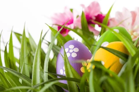 Easter colored eggs on the green grass Foto stock