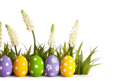 Easter colored eggs on the green grass Stock Photos