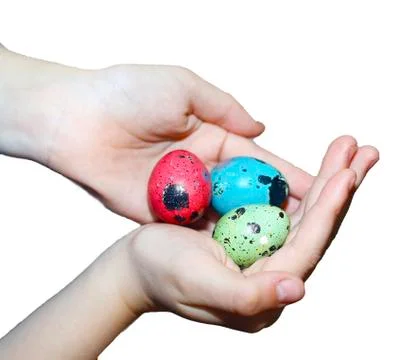 Easter colored eggs in the hands of the child. Stock Photos