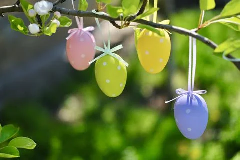 Easter colored eggs hang on the tree Stock Photos