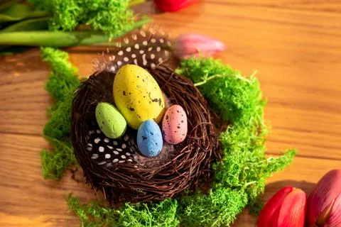 Easter colored eggs in a nest feathers moss tulips on a wooden board Stock Photos