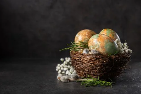 Easter colored eggs with spring flowers Stock Photos