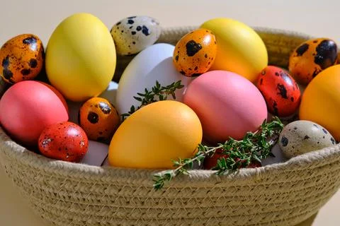 Easter colored eggs in a wicker basket. Easter composition. Stock Photos