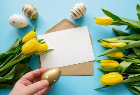 Easter: colored eggs, yellow tulips. Letter copy space, blue background Stock Photos