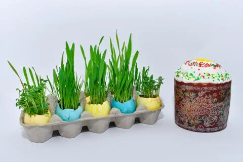 Easter. Colored eggs with young green sprouts of wheat and Easter cake. Stock-Fotos