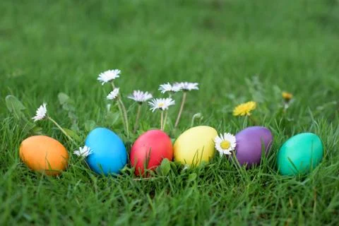 Easter colored hen eggs in a row Stock Photos