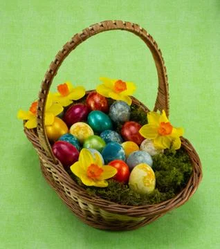 Easter, colored painted eggs in a wicker basket with moss and daffodil Stock Photos