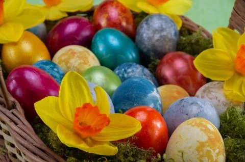 Easter, colored painted eggs in a wicker basket with moss and daffodils Stock Photos