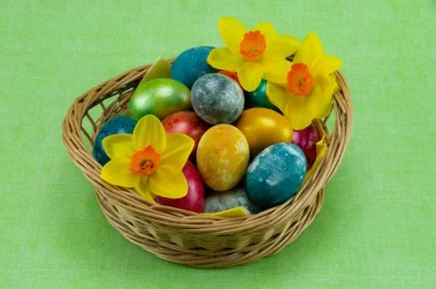Easter, colored painted eggs in a wicker basket with moss, daffodil Stock Photos