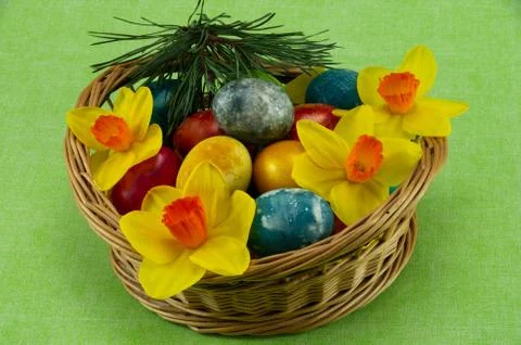 Easter, colored painted eggs in a wicker basket with moss, daffodils Stock Photos
