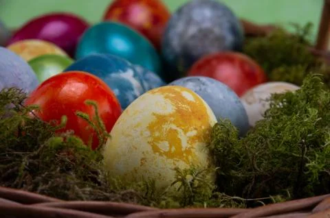Easter, colored painted eggs in a wicker basket with moss Foto stock