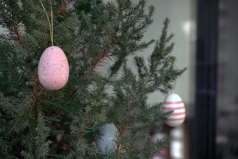 Easter colorful decore on pine tree, plastic multicolor eggs space for copy.. Stock Photos