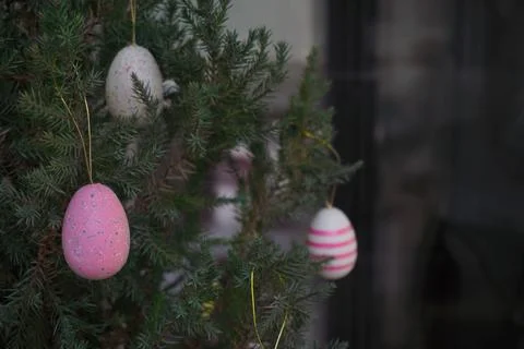 Easter colorful decore on pine tree, plastic multicolor eggs spa Foto stock