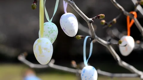 Easter colorful eggs hang on the branches of a tree. Easter composition Stock Footage 151229270