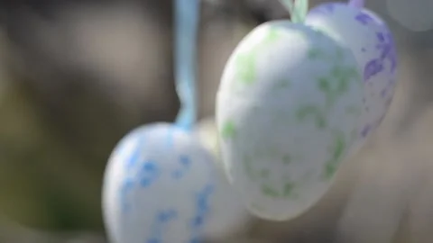 Easter colorful eggs hang on the branches of a tree. Easter composition Stock Footage 151314475
