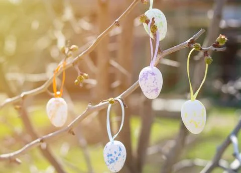 Easter colorful eggs hang from the branches of a tree in the rays of sunlight Stock Photos