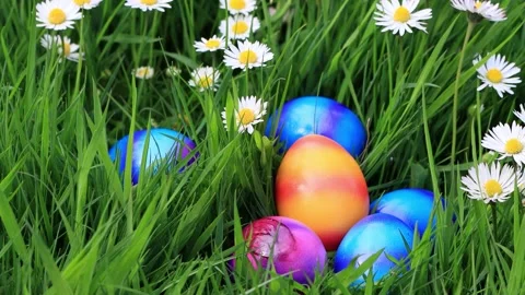 Easter Colorful Painted Eggs between daisies in green Grass  Stock Footage 203386904