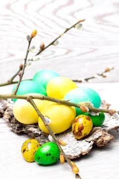 Easter colorful painted eggs on tree bark with willow branches close up, sp.. Foto stock