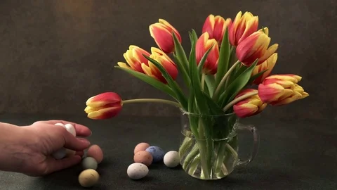 Easter colorful quail eggs Stock Footage 125135938