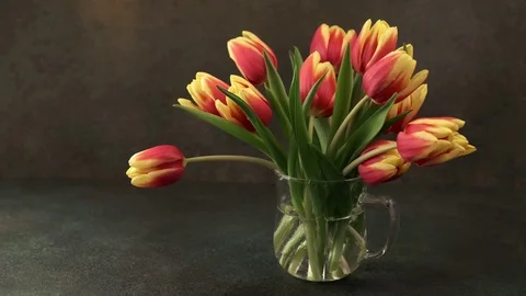 Easter colorful quail eggs Stock Footage 125314667