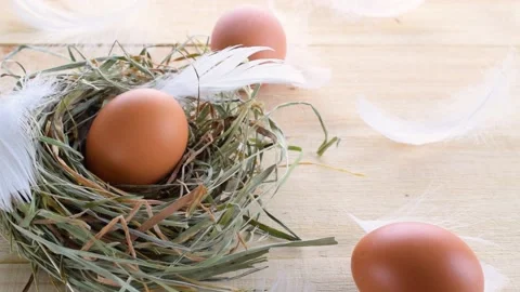 Easter colourful eggs in basket with spring tulips, white feathers on wooden Stock Footage 147481816