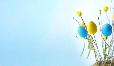 Easter composition of blue and yellow eggs with branches. Stock Photos