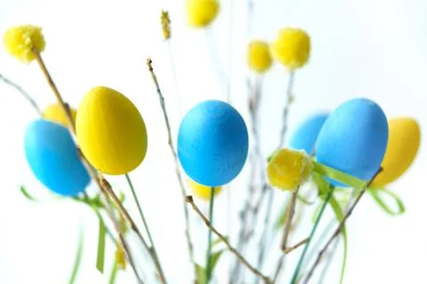 Easter composition of blue and yellow eggs with branches. Stock Photos