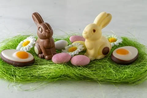 Easter composition. Brown and white Chocolate bunny on grass pad. Stock Photos