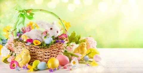 Easter composition with bunny in basket, spring flowers and colorful Easter.. Stock Photos