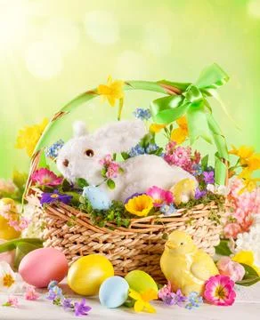 Easter composition with bunny in basket, spring flowers and colorful Easter.. Stock Photos