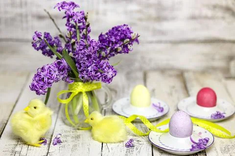Easter composition with chikens, eggs and hyacinth spring flowers Stock Photos