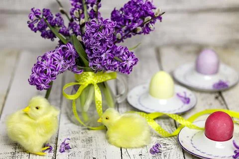Easter composition with chikens, eggs and hyacinth spring flowers Stock Photos