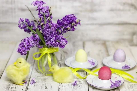 Easter composition with chikens, eggs and hyacinth spring flowers Stock Photos