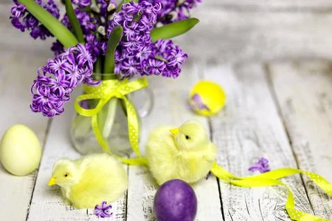 Easter composition with chikens, eggs and hyacinth spring flowers Stock Photos