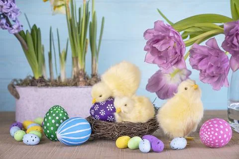Easter composition with colored Easter eggs. Stock Photos