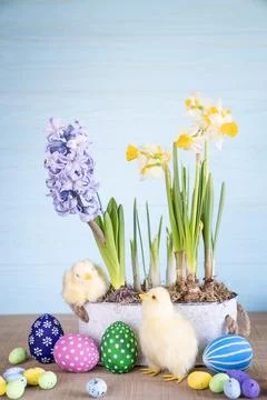 Easter composition with colored Easter eggs. Stock Photos