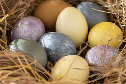 Easter composition - colorful Easter eggs painted with natural dyes in a nest Stock Photos