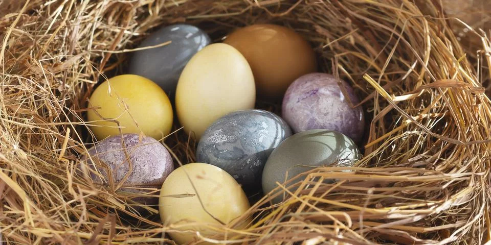 Easter composition - colorful Easter eggs painted with natural dyes in a nest Stock Photos