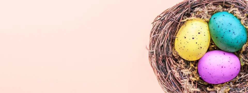 Easter composition with colorful Easter eggs in nest. Spring concept. Stock Photos