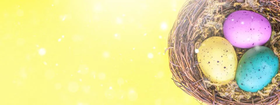 Easter composition with colorful Easter eggs in nest. Spring concept. Stock Photos