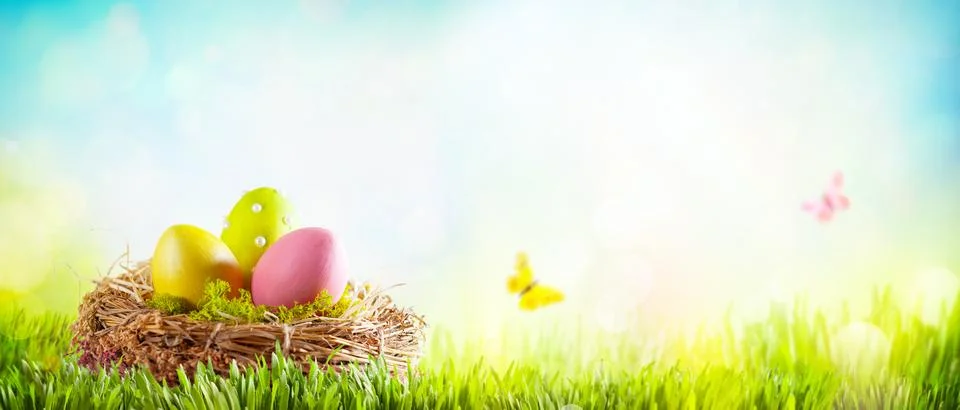 Easter composition with colorful Easter eggs in nest on green grass. Easter.. Stock Photos